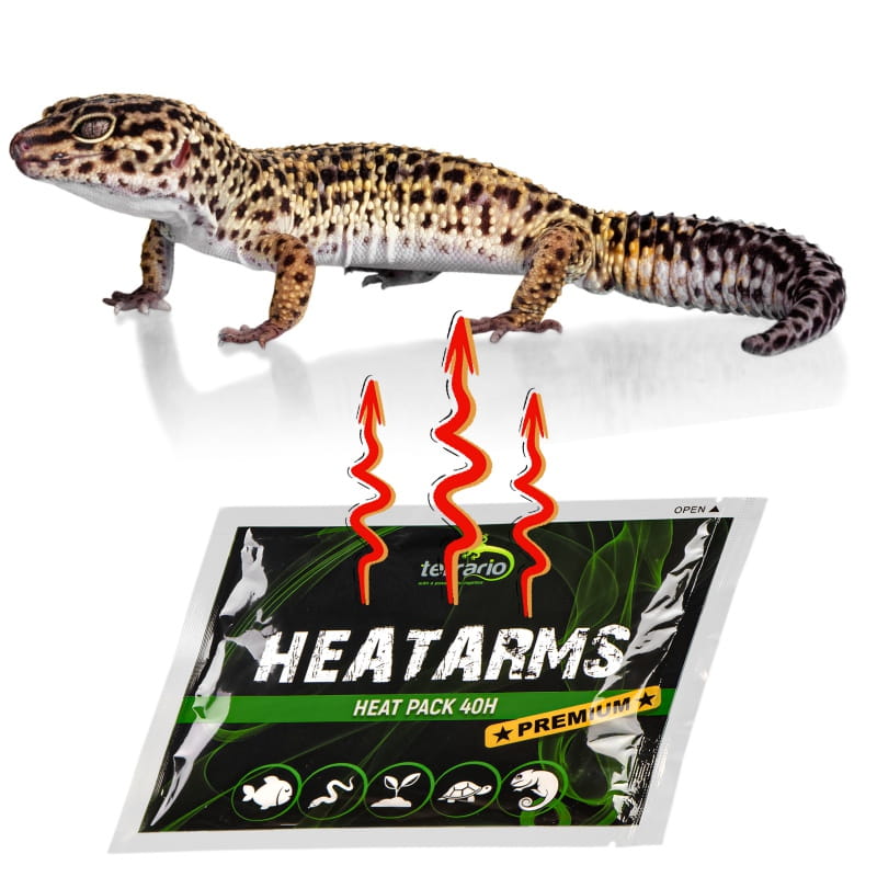 terrario-heatarms-heat-pack-40h-ogrzewacz-transportowy (1).jpg